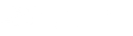 Dunia Forklift Indonesia Logo Foot